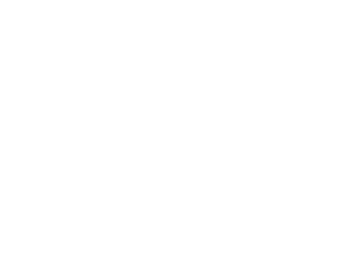 Primary Header
